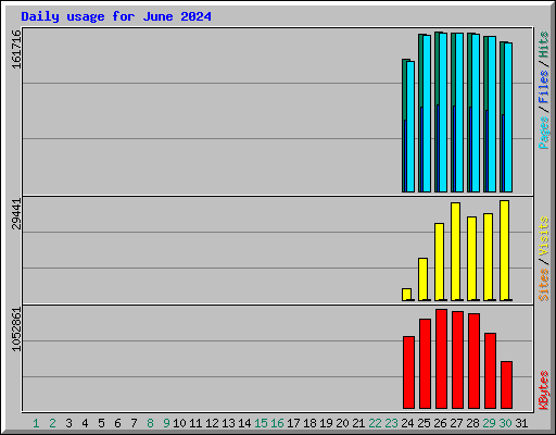 Daily usage for June 2024