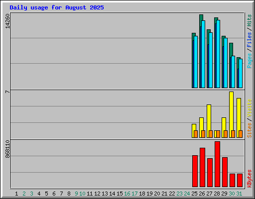Daily usage for August 2025
