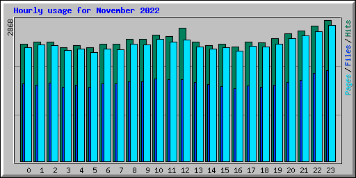 Hourly usage for November 2022