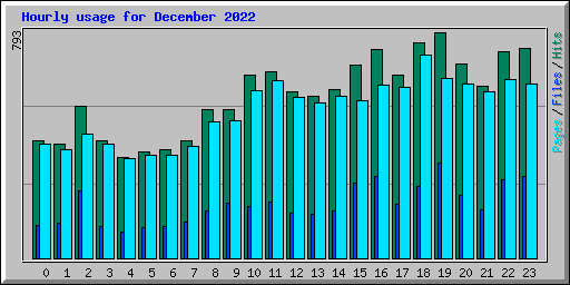 Hourly usage for December 2022