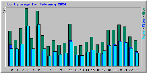 Hourly usage for February 2024