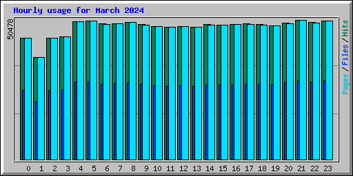 Hourly usage for March 2024