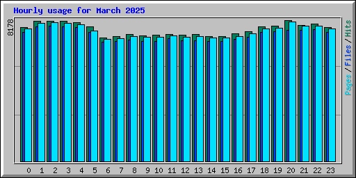 Hourly usage for March 2025