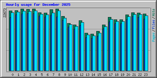 Hourly usage for December 2025
